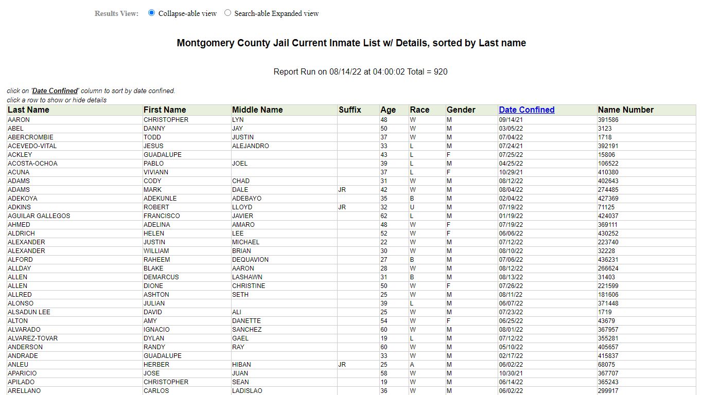 Jail Roster